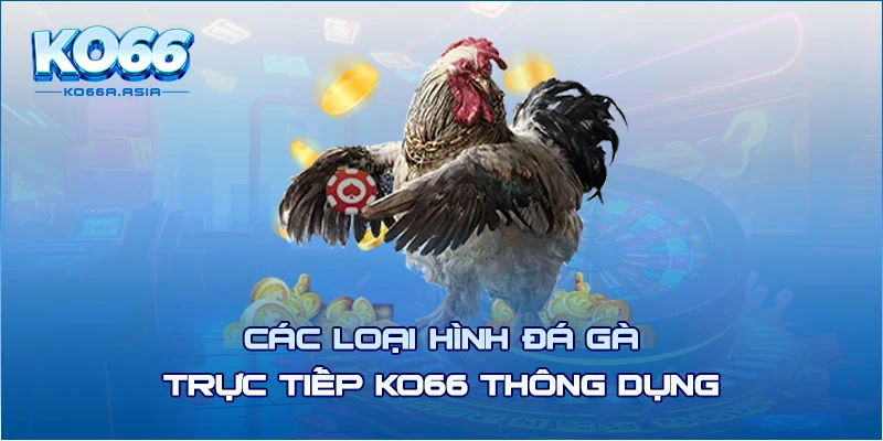 Các loại hình đá gà trực tiếp KO66 thông dụng