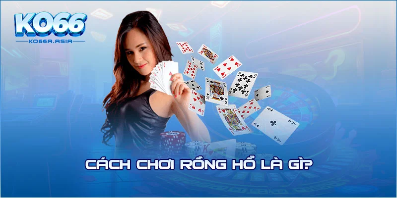 Cách chơi rồng hổ là gì?